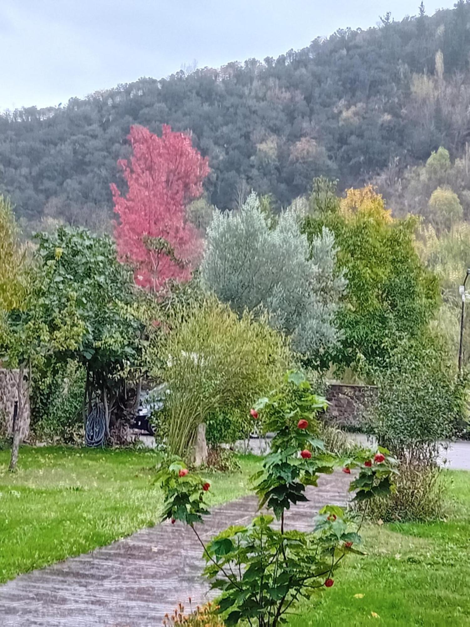 Picos De Europa Suites And Rooms Turieno Εξωτερικό φωτογραφία