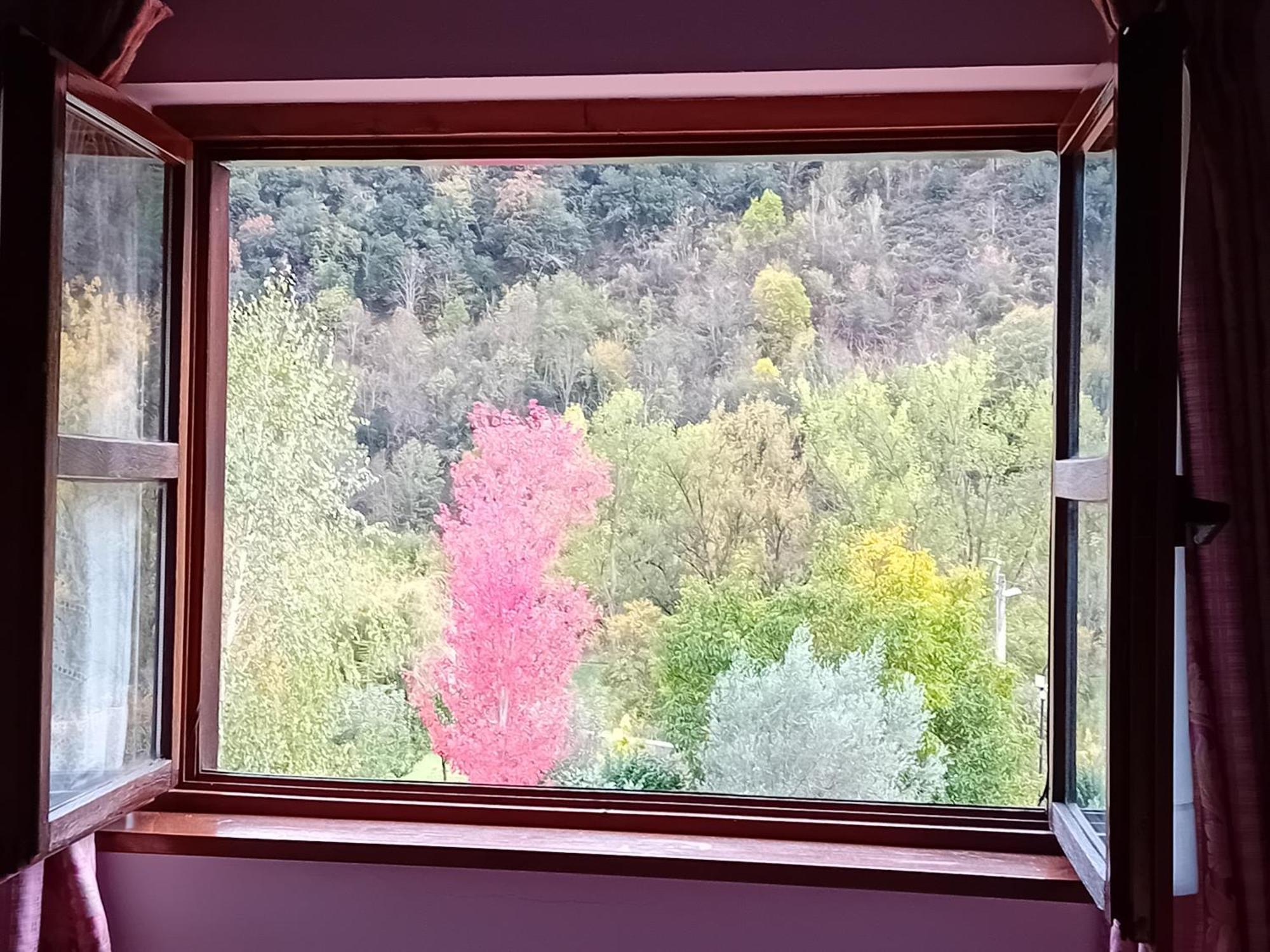 Picos De Europa Suites And Rooms Turieno Εξωτερικό φωτογραφία