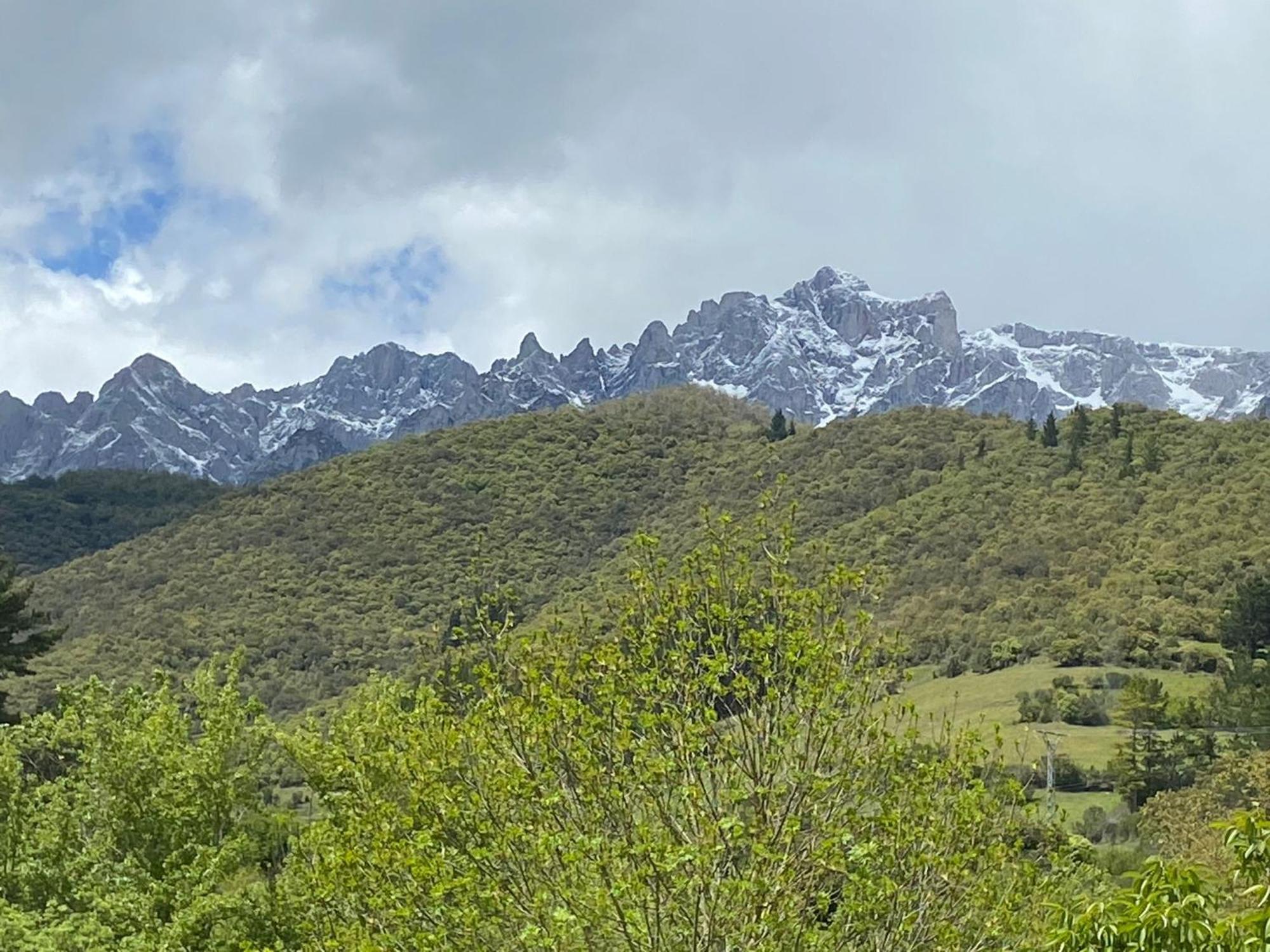 Picos De Europa Suites And Rooms Turieno Εξωτερικό φωτογραφία