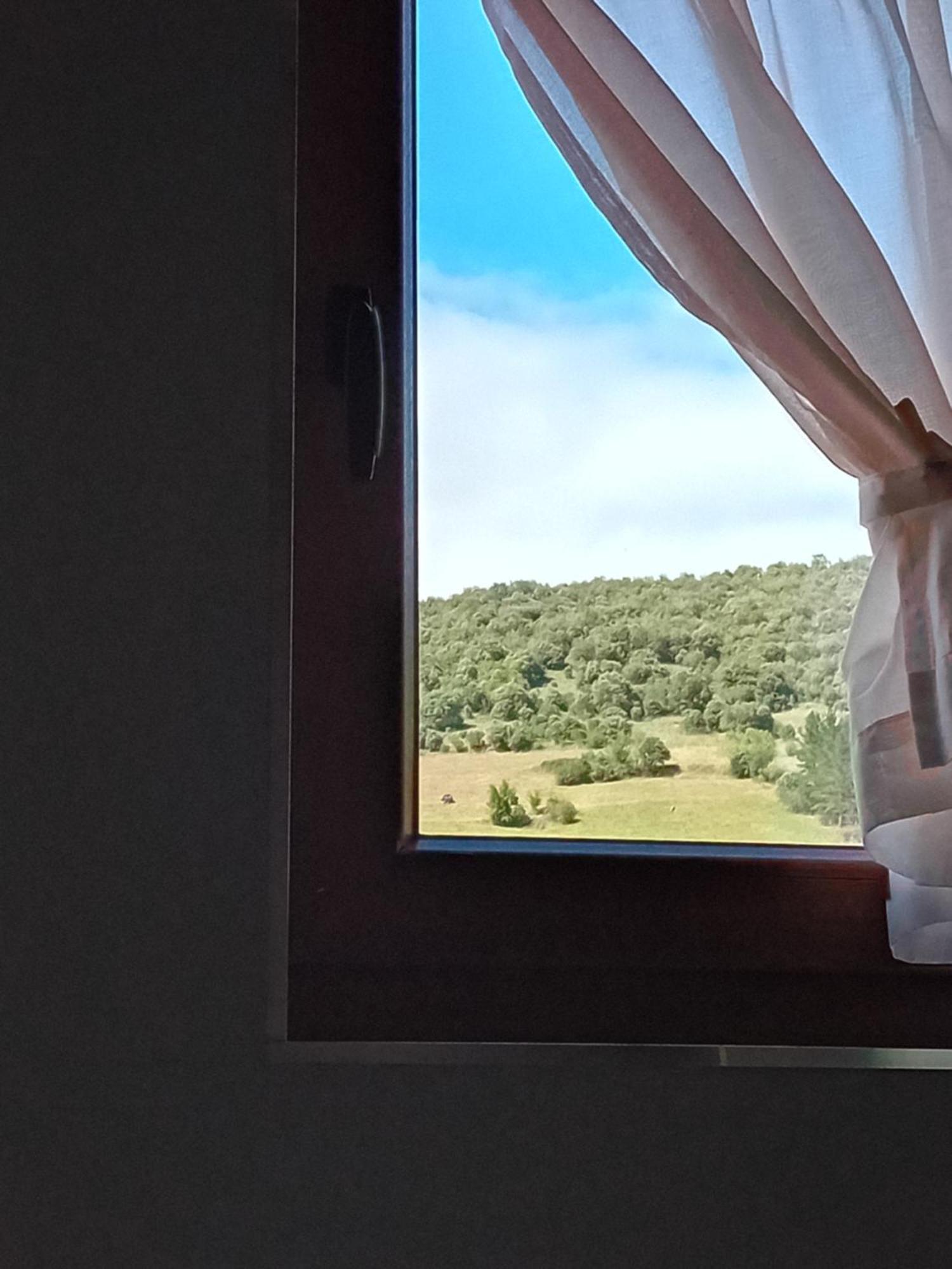 Picos De Europa Suites And Rooms Turieno Εξωτερικό φωτογραφία