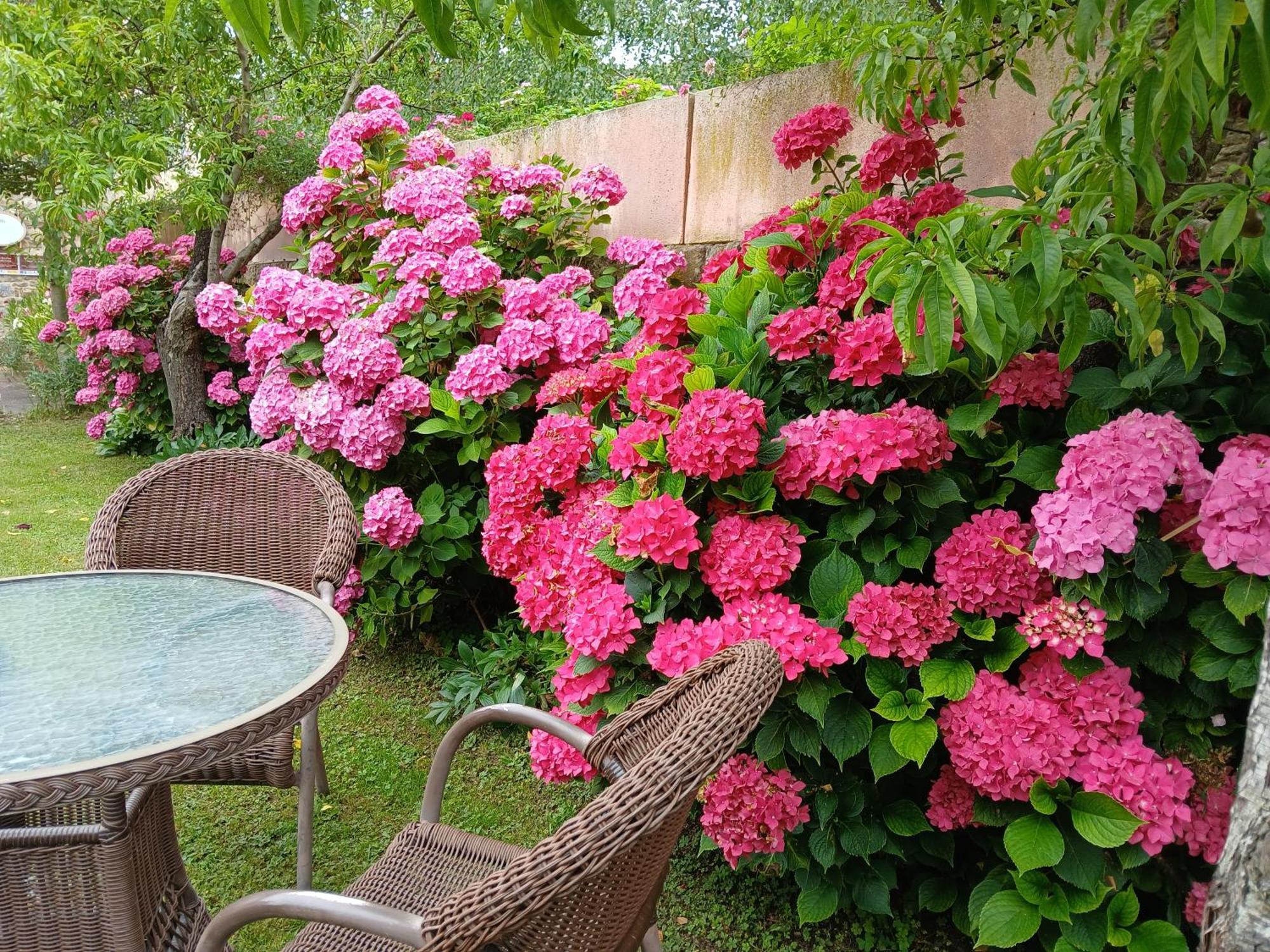 Picos De Europa Suites And Rooms Turieno Εξωτερικό φωτογραφία