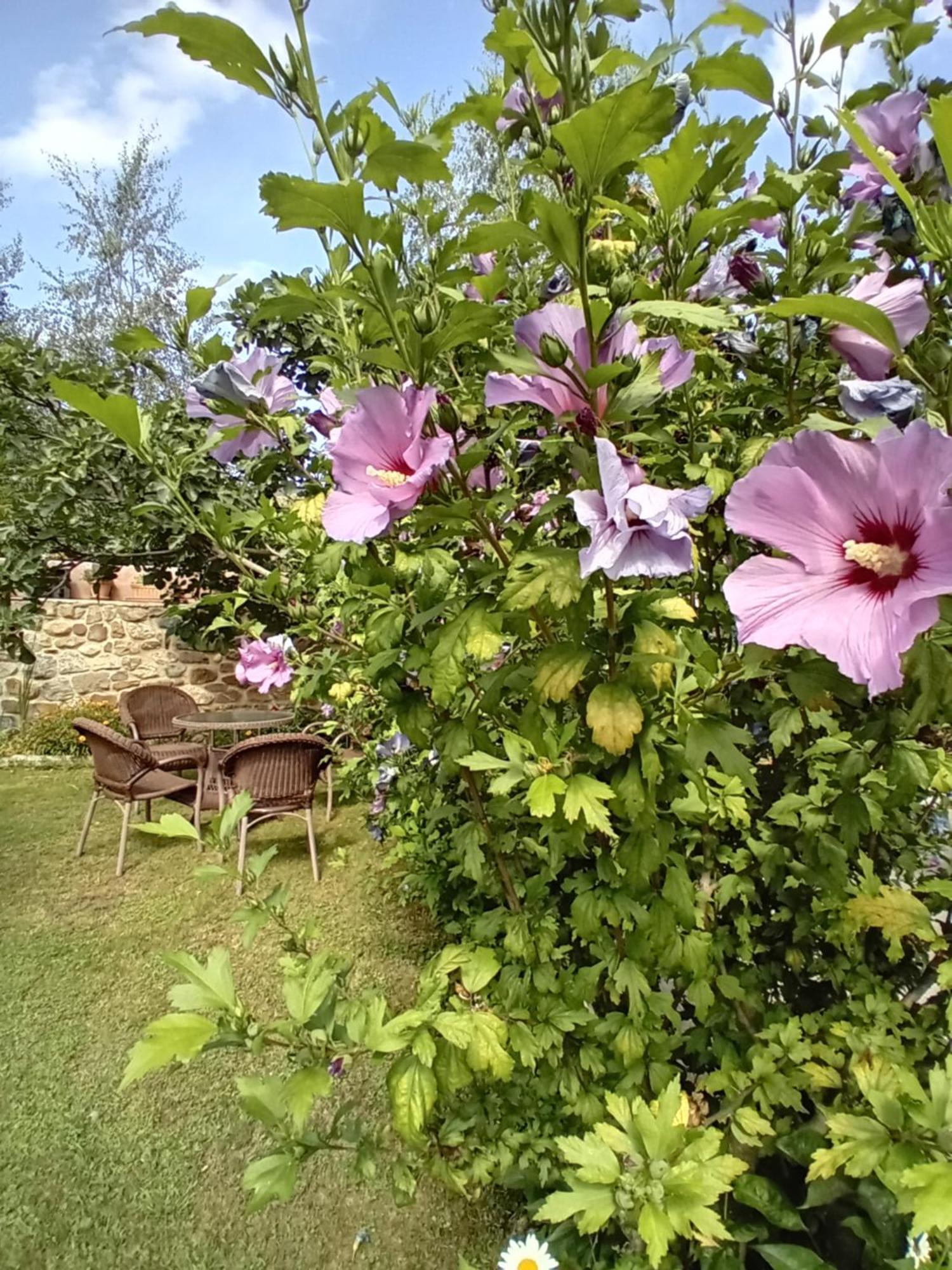 Picos De Europa Suites And Rooms Turieno Εξωτερικό φωτογραφία