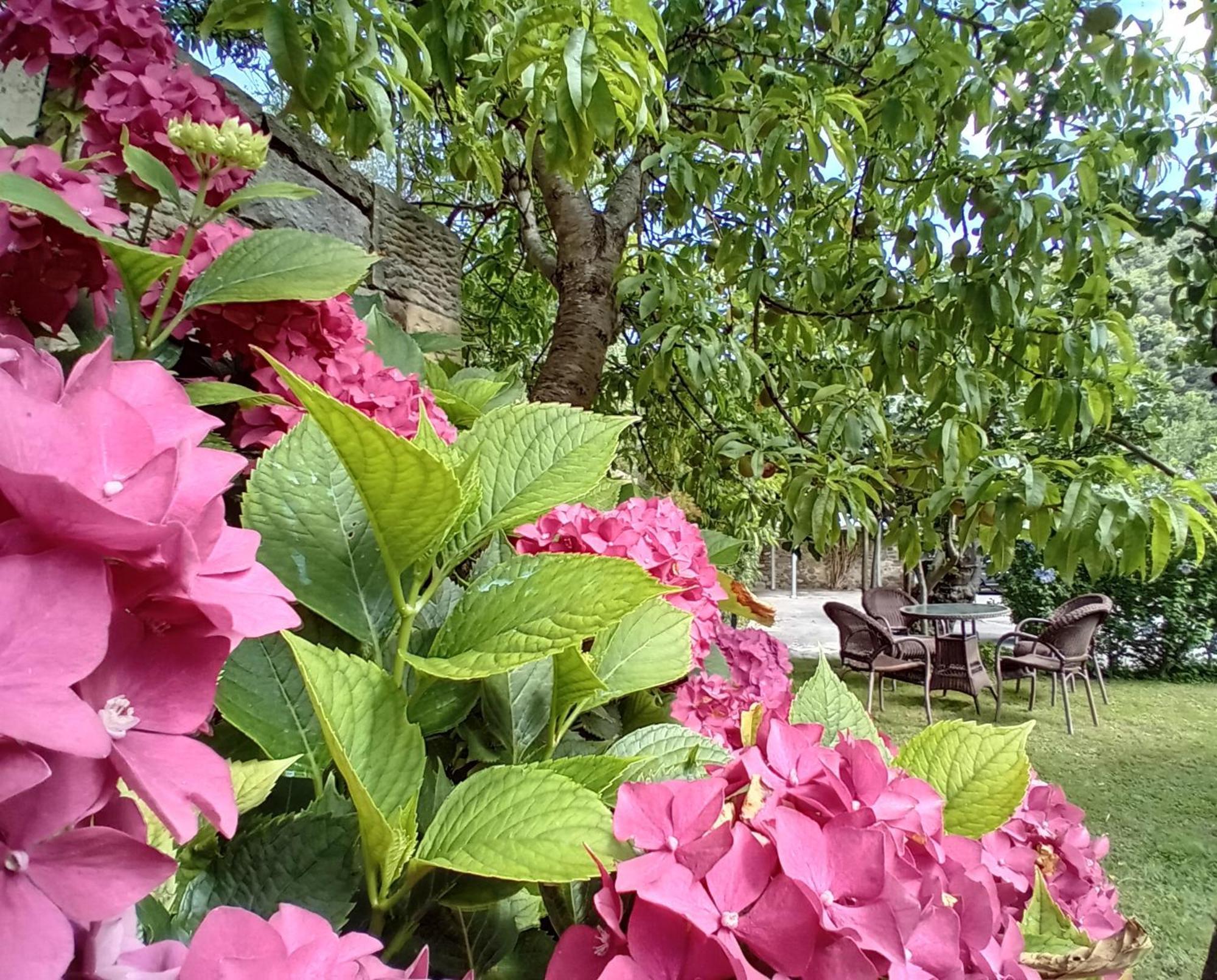Picos De Europa Suites And Rooms Turieno Εξωτερικό φωτογραφία